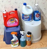5' x 6' area rug; Full and partial containers of laundry detergent, bleach, ant spray, stain