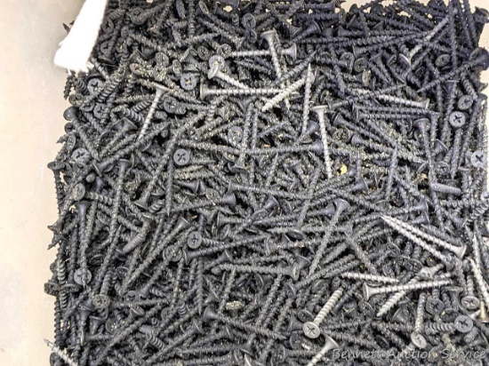 About half a bucket 1-5/8" black oxide drywall screws and a nail apron.