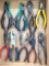 Pickup in Rib Lake. Stanley pliers, needle nose pliers, nippers, more.