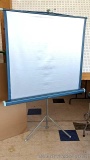Radiant Glowmaster collapsible projector screen would be neat to use for your own backyard movie