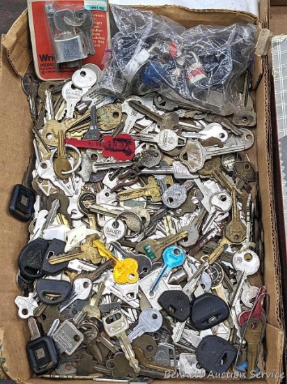 A huuuuuuuge assortment of keys but most appear to be automobile keys; some locks too. Probably