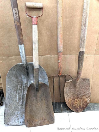 15" wide grain shovel, smaller flat shovel, 5' tall 5-tine pitch fork, other shovel.