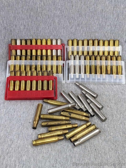 Seller notes that there are approx. 44 pieces of .30-06 brass and approx. 22 pieces of .270 brass.