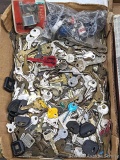 A huuuuuuuge assortment of keys but most appear to be automobile keys; some locks too. Probably