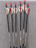 Set of 6 Easton brand High Power Full Metal Jacket 340 carbon arrows ready for your quiver!!