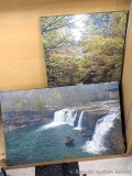 Two nature canvases in good condition both measure about 20
