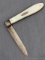 Antique fruit knife with a sterling silver blade, mother of pearl handle slabs, and attractive file