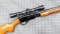 Remington Fieldmaster Model 572 pump action .22 rifle is topped with a Bushnell Sharpshooter 3-9x32