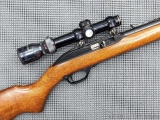 Marlin Model 60 semi-automatic .22LR rifle with a Tasco Pronghorn 1-3.5x20 scope. The 22
