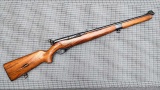 Mossberg Model 151M semi-automatic rifle in .22LR has a unique sight system. The 20