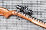 J.C. Higgins Model 36 semi-automatic .22 rifle is topped with a Tasco ProPoint RedDot optic. The 24