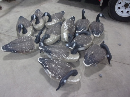 12 CANADIAN GEESE DECOYS
