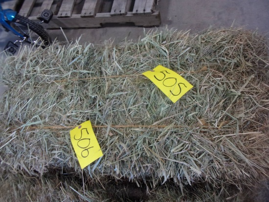 25- 1ST CUTTING GRASS SMALL SQ. BALES IN PLUMMER AREA (bid x 25) PH. 952-200-3236