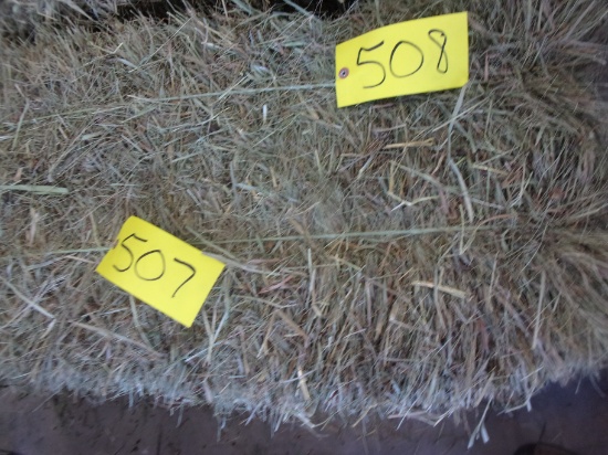 25- 2ND CUTTING GRASS SMALL SQ. BALES IN PLUMMER AREA (bid x 25) PH. 952-200-3236