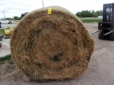 5 BALES 2nd CUTTING GRASS HAY, no rain, net wrapped, stored inside, 1000#, one bale at our lot