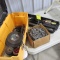PICKUP TIRE CHAINS & TOOL BOX w/ misc tools