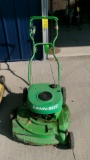 LAWN BOY MOWER, does not start but ran last fall