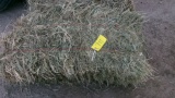 50  SMALL SQUARE BALES OF GRASS HAY, 40# bales, located in Goodridge (high bid per bale x 50)