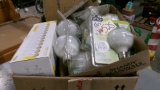 2-BOXES MISC. LIGHT BULBS & VAC BAGS