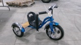 SCHWINN KIDS TRIKE