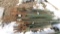 50-5 1/2' & 6' STEEL  T  POSTS  (50 X THE BID)