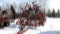 30' CASE IH 4600 FIELD CULTIVATOR, wing singles, 3 bar harrow