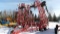 42' WILRICH 3400 FIELD CULTIVATOR, wing walking tandems, Wilrich 3 bar harrow, edge shanks