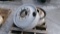 2-22.5 10 HOLE STEEL PILOTS, 2 -24.5 10 HOLE STEEL PILOTS, & 1- 24.5, STEEL 10 HOLE  BUDD