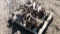 10- WILRICH CULTIVATOR SHANK ASSEMBLIES