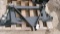 3 POINT TO SKID LOADER QUICK TACH