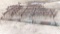 2 SECTION (10') OF SPRING TOOTH HARROW YARD DRAG