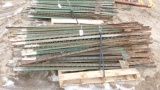 100 6' STEEL T POSTS  (  100 X your bid )