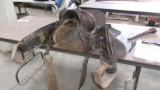SADDLE w / TACK