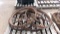 4-  VINTAGE HORSE MOWER STEEL WHEELS