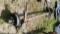 AXLE