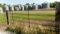 1-4' X 13' & 7 -4' X 21'  PIPE  CATTLE PANELS  ( 8 X YOUR BID ) buyer must remove )