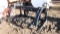 NEW WOLVERINE 6' 5 TINE MANURE / BRUSH SKID MOUNT ATTACH. w/ 4 tine 2 cylinder grapple,  flat