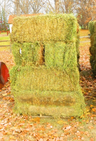24 - 2ND CUTTING ALFALFA / GRASS SMALL SQUARE BALES, approx. 60 #