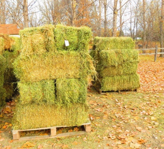 33- 2ND CUTTING ALFALFA/  GRASS SMALL SQUARE BALES, approx. 60 #