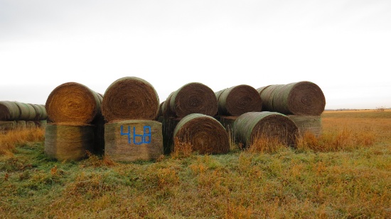 430 BALES OF ALFALFA / GRASS NET WRAPPED RD. BALES, approx. 1500 #, carry over hay baled w/ J.D+