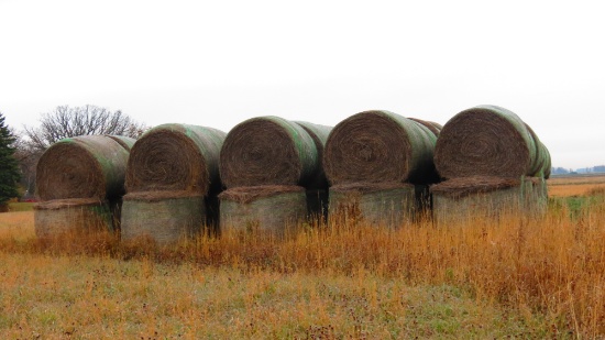 350 BALES OF GRASS NET WRAPPED RD. BALES, approx. 1500 #, carry over hay baled w/ J.D 569+