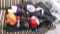 SUITCASE FULL OF CAPS