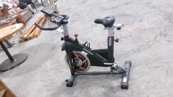 NEW DMASUN EXERCISE BIKE