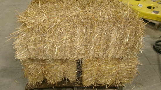 25-SHEDDED WHEAT STRAW BALES, in Thief River Falls, Mn. area ( 25 X your bid  ) +