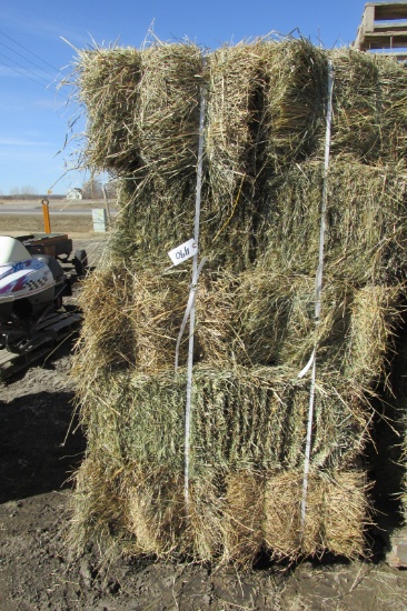 30-1ST CUTTING ALFALFA / GRASS SMALL SQ. BALES on pallets  ( 30 x your bid   )
