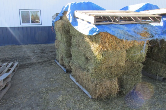 25 -SMALL SQUARE BALES OF ALFALFA / GRASS HAY ( 25 X your bid )