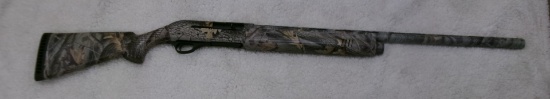 12 GUAGE CHARLES DALY FIELD HUNTER  AUTO, 3 chokes, 2 3/4, 3, & 3 1/2"