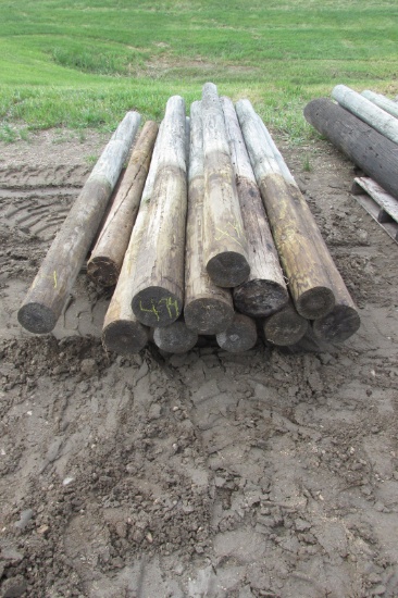 10-8'-9' WOOD FENCE POSTS ( 10 X YOUR BID )  (  10 X YOUR BID )