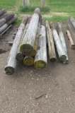 10-8'-9' WOOD FENCE POSTS ( 10 X YOUR BID )  (  10 X YOUR BID )