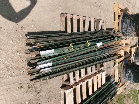 37-8' T POSTS (37 times your bid )
